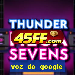 voz do google tradutor homem